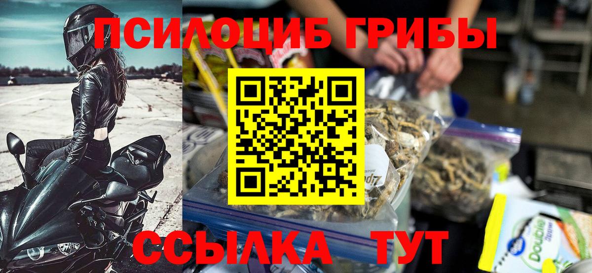 Псилоцибиновые грибы GOLDEN TEACHER Урус-Мартан