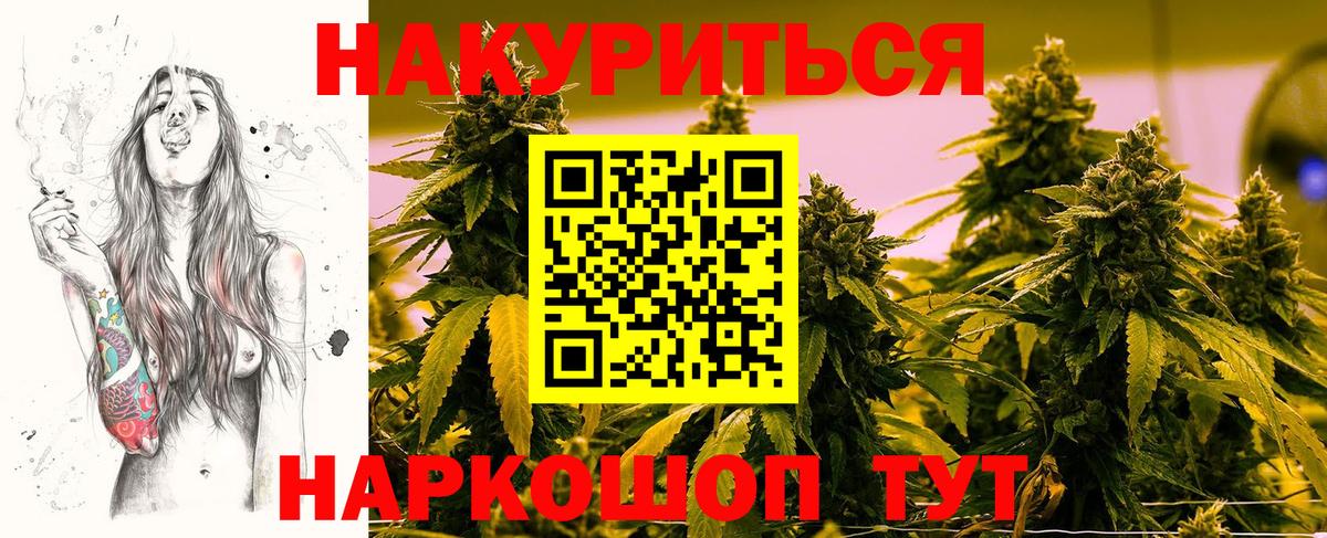 Бошки Шишки ГИДРОПОН  Конопля AK-47  Вход с VPN  Урус-Мартан  Канабис AK-47  МАРИХУАНА White Widow 